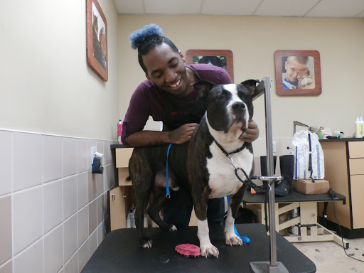 Pet Supply Store «Petco Animal Supplies», reviews and photos, 1065 Kennedy Rd, Windsor, CT 06095, USA