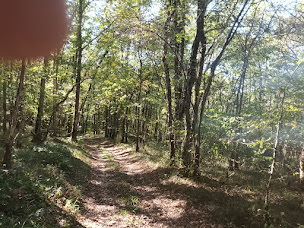 Photo n°10 de CAP Sireuil à Les Eyzies ()