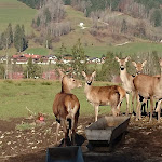 Photo n°3 de l'avis de Claudia.� fait le 23/11/2019 à 03:14 sur le  Relais & Châteaux Gut Steinbach Hotel Chalets SPA à Reit im Winkl