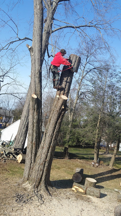 Woodchucks Tree Service