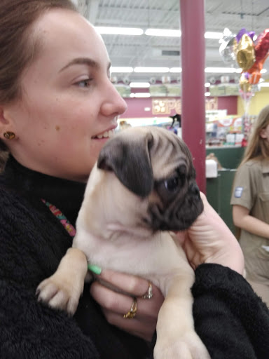 Pet Store «Petland», reviews and photos, 351 Diederich Blvd, Ashland, KY 41101, USA