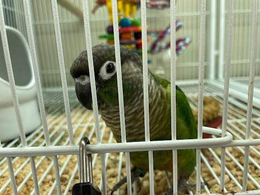 Pet Supply Store «Pet Supplies Plus», reviews and photos, 1030 Main St #10, Waltham, MA 02451, USA