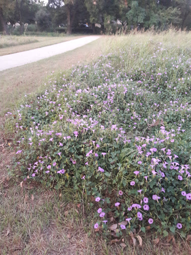 Park «Clarence Foster Park», reviews and photos, 4400 Woodland Park Blvd, Arlington, TX 76013, USA