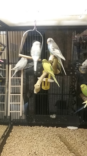 Lodging «PetSmart North Ogden», reviews and photos, 175 W 12th St, Ogden, UT 84404, USA