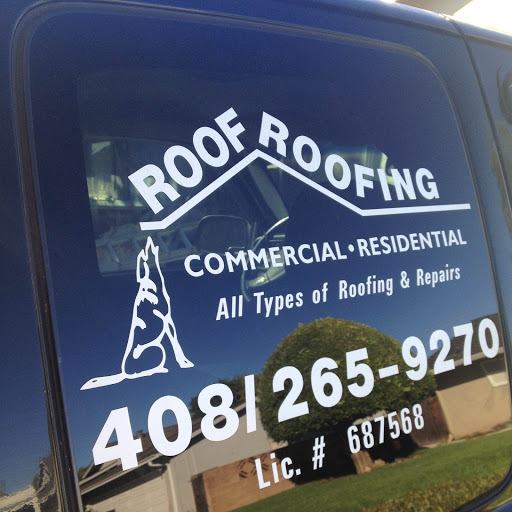 Roof Roofing