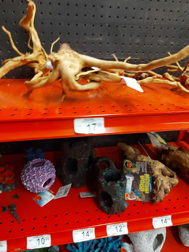 Pet Supply Store «Petco Animal Supplies», reviews and photos, 364 Randall Rd, South Elgin, IL 60177, USA