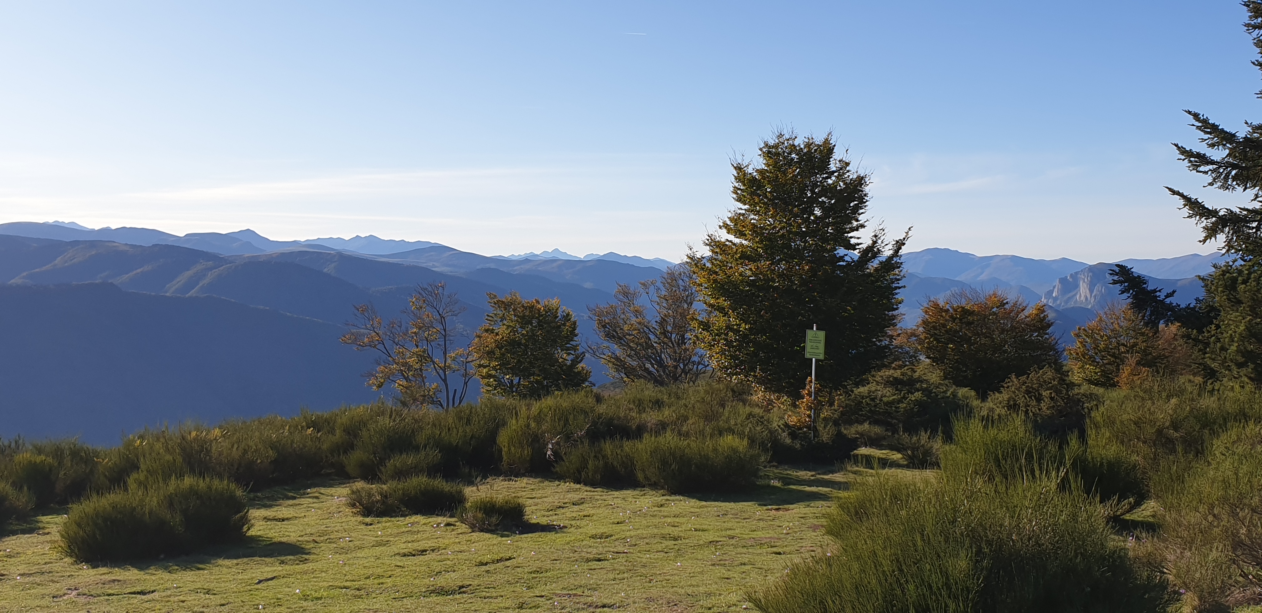 Photo n° 11 de l'avis de Jul. fait le 03/12/2019 à 22:53