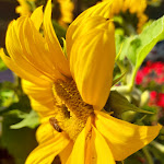 Photo n°2 de l'avis de Rosalba.o fait le 02/09/2023 à 16:03 sur le  Albergo Trentino à Moena