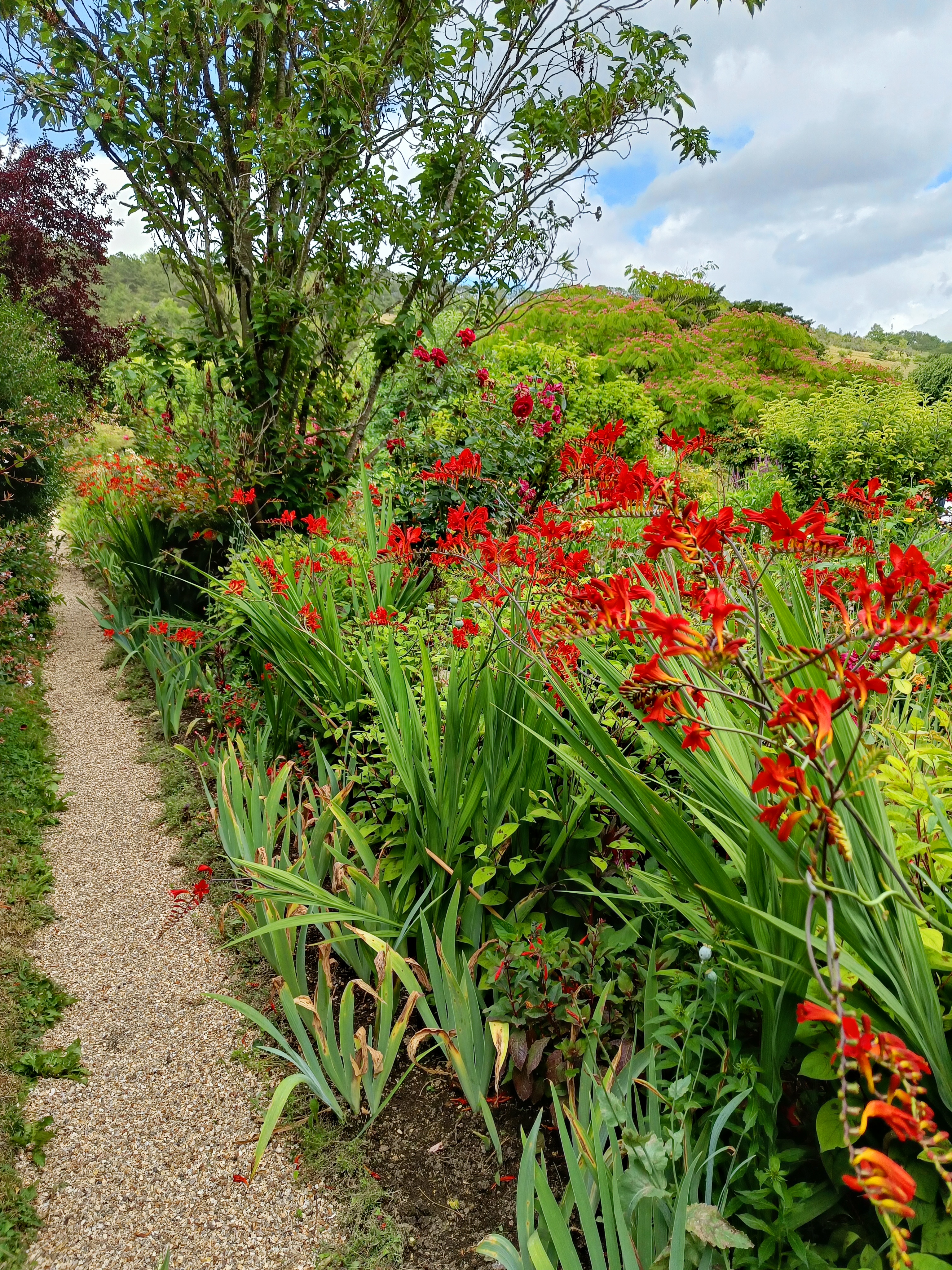 Photo n° 6 de l'avis de Mathéo.a fait le 07/07/2023 à 08:27