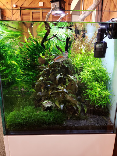 Pet Store «Bluewater Zoo Exotic Aquariums & Reptiles», reviews and photos, 159 Miracle Strip Pkwy SE, Fort Walton Beach, FL 32548, USA