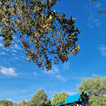 Photo n°2 de l'avis de Alessandro.i fait le 01/11/2022 à 09:38 sur le  La Miniera Di Galparino à Città di Castello