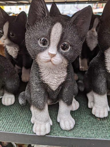 Garden Center «Winnisquam Agway», reviews and photos, 304 Daniel Webster Hwy, Belmont, NH 03220, USA