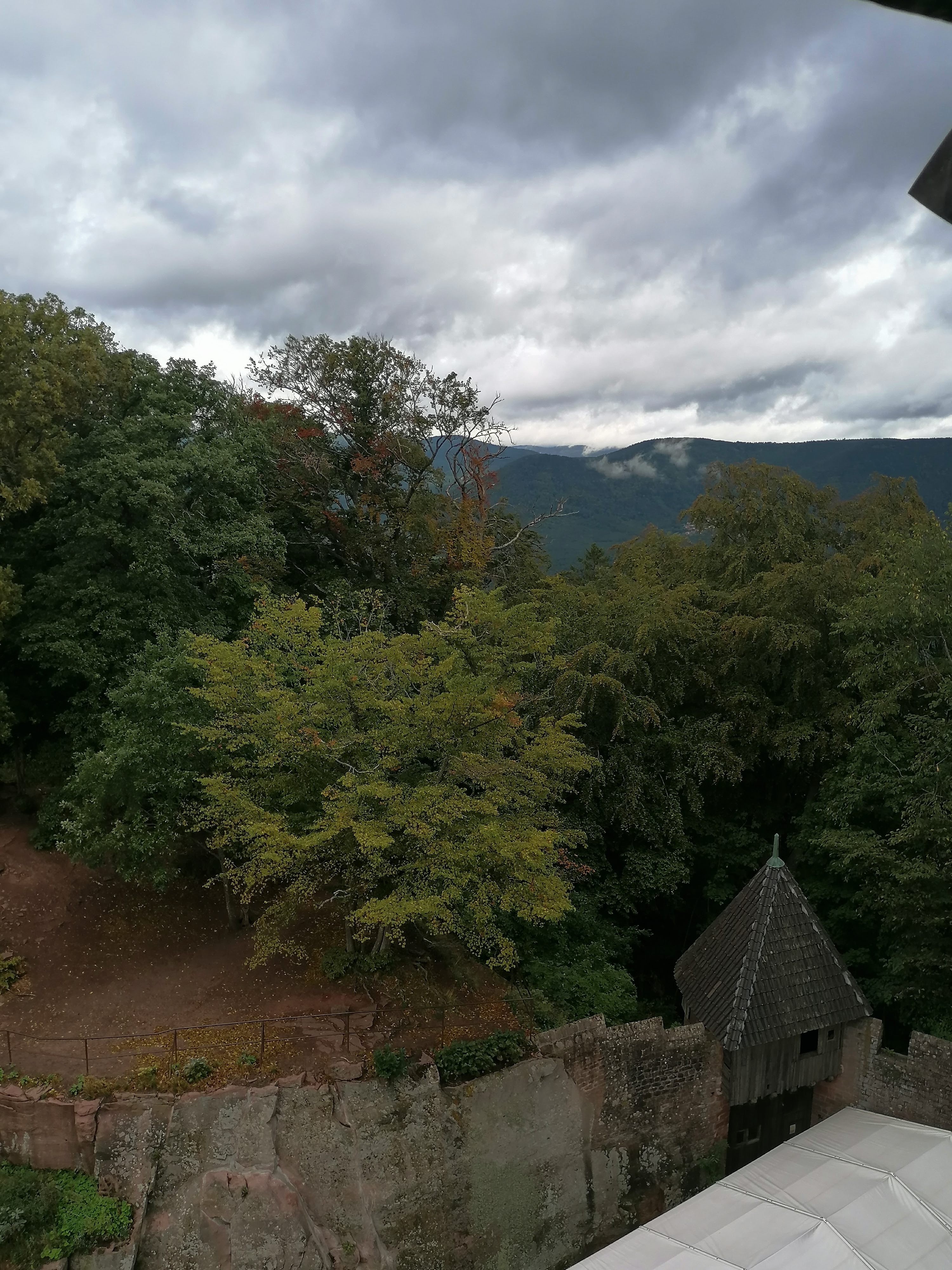 Photo n° 25 de l'avis de Bertrand.e fait le 01/09/2023 à 18:15