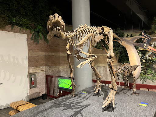 Tourist Attraction «Arizona Museum of Natural History», reviews and photos, 53 N Macdonald, Mesa, AZ 85201, USA