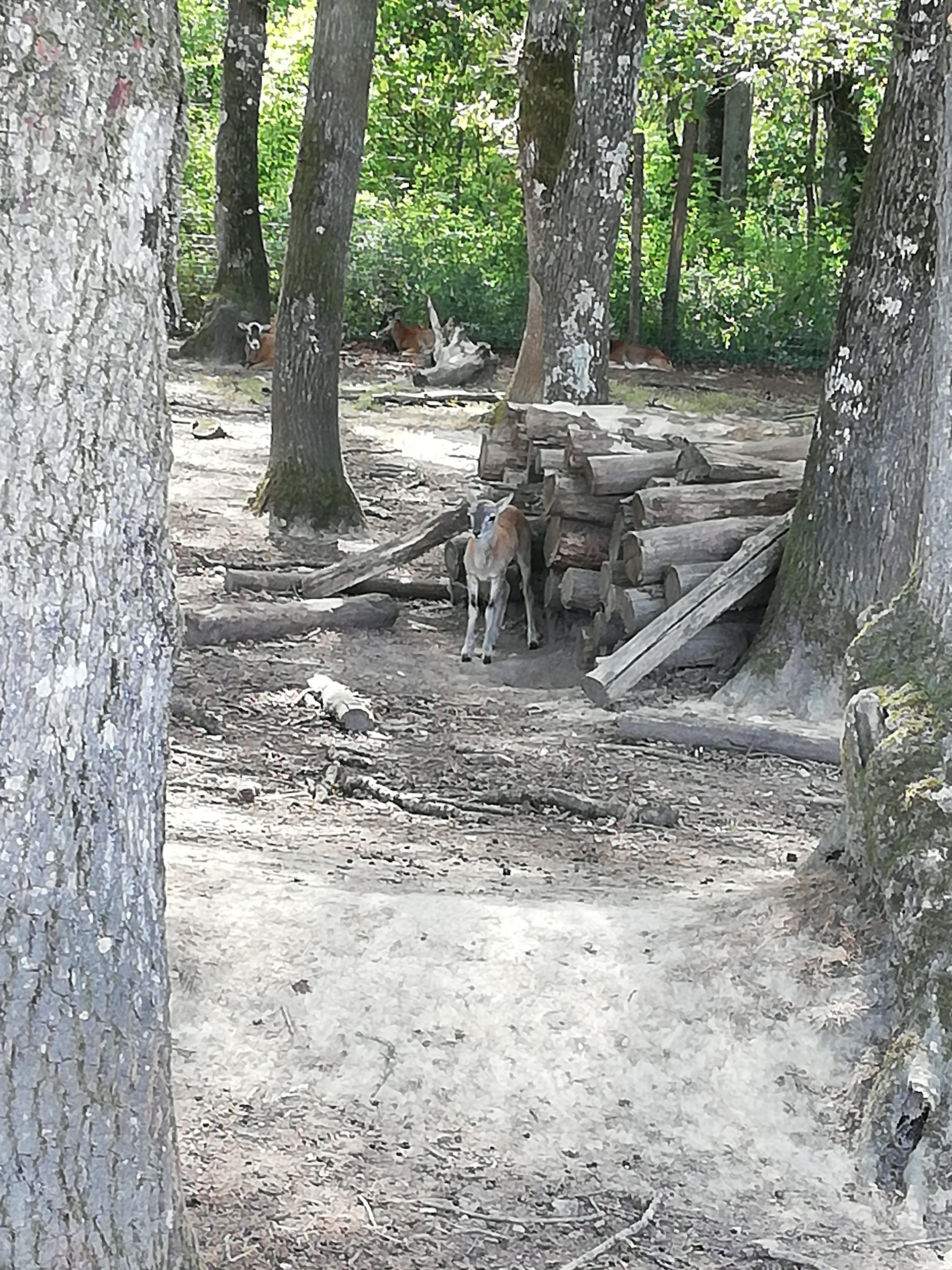 Photo n° 28 de l'avis de Severine.e fait le 23/08/2019 à 23:18