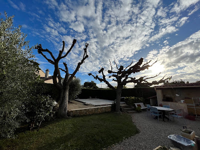 Xavier Bonneton Paysage à Sénas