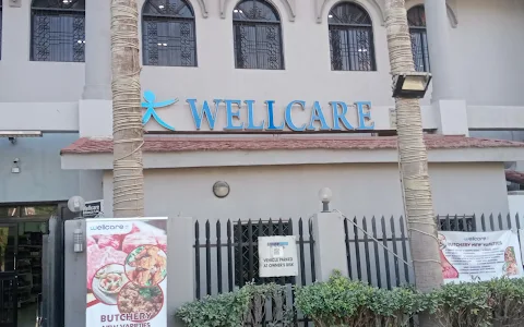 WELLCARE image