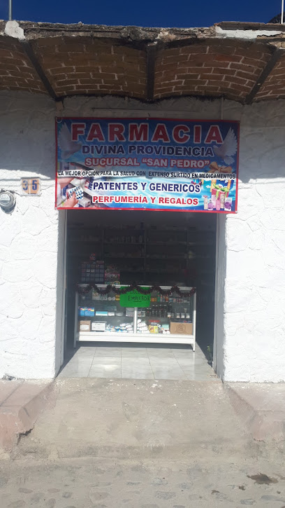 Farmacia 'La Divina Providencia' Suc. San Pedro Tesistán