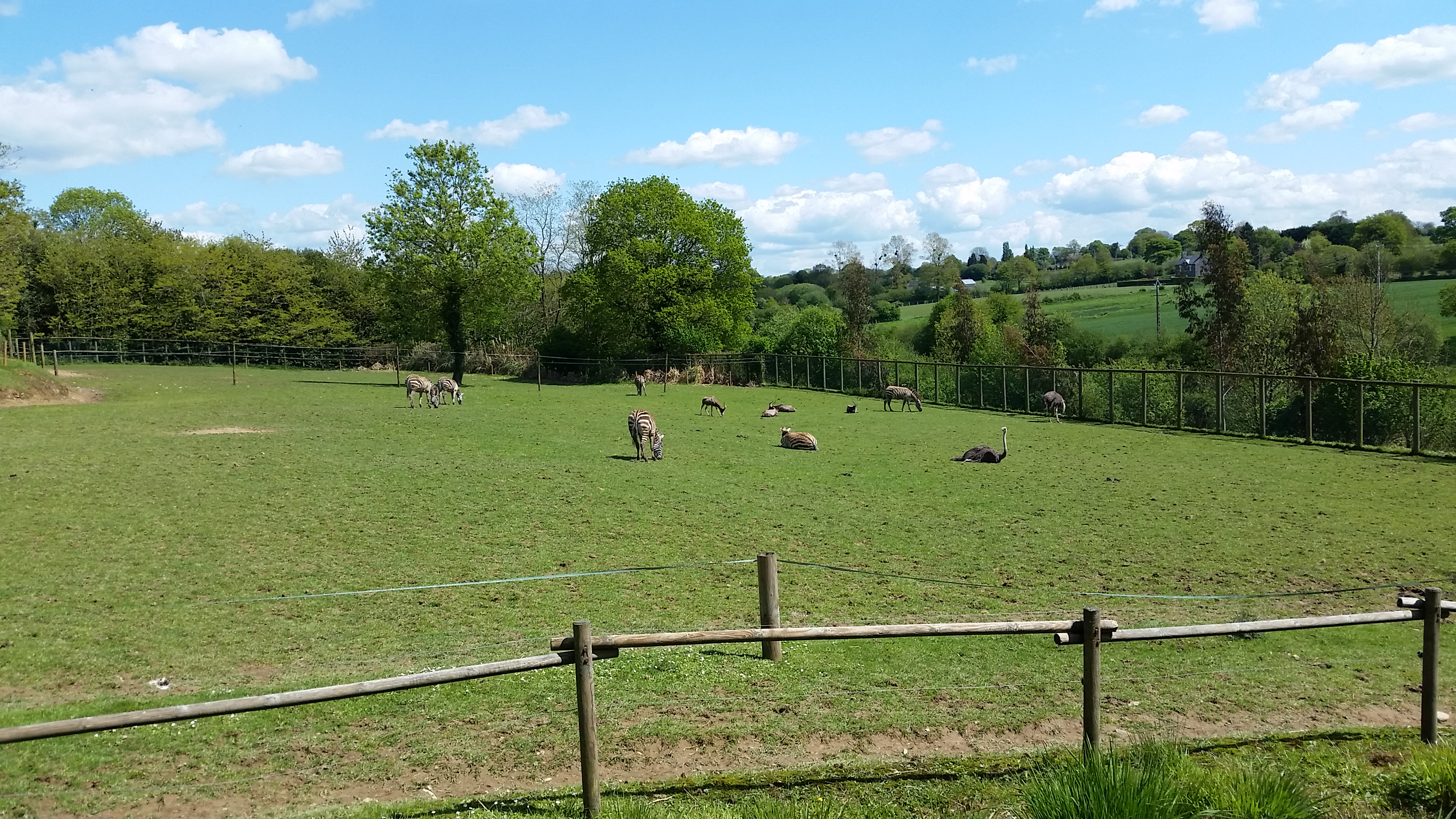 Photo n° 1 de l'avis de Eilsel. fait le 01/05/2018 à 19:05