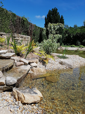 Au Jardin d'Amélie à Auray