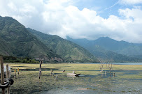 Mastery, LLC - Photo 7 - Car repair in Newtown, CT, Bridgeport