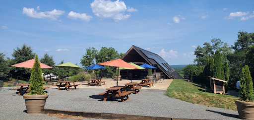 Winery «Blenheim Vineyards», reviews and photos, 31 Blenheim Farm, Charlottesville, VA 22902, USA