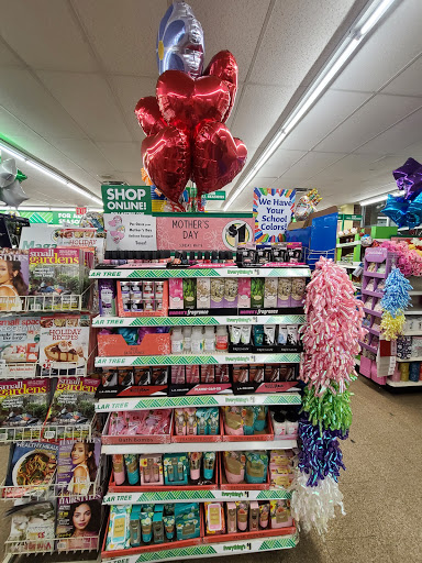 Dollar Store «Dollar Tree», reviews and photos, 21450 Jamaica Ave, Queens Village, NY 11428, USA