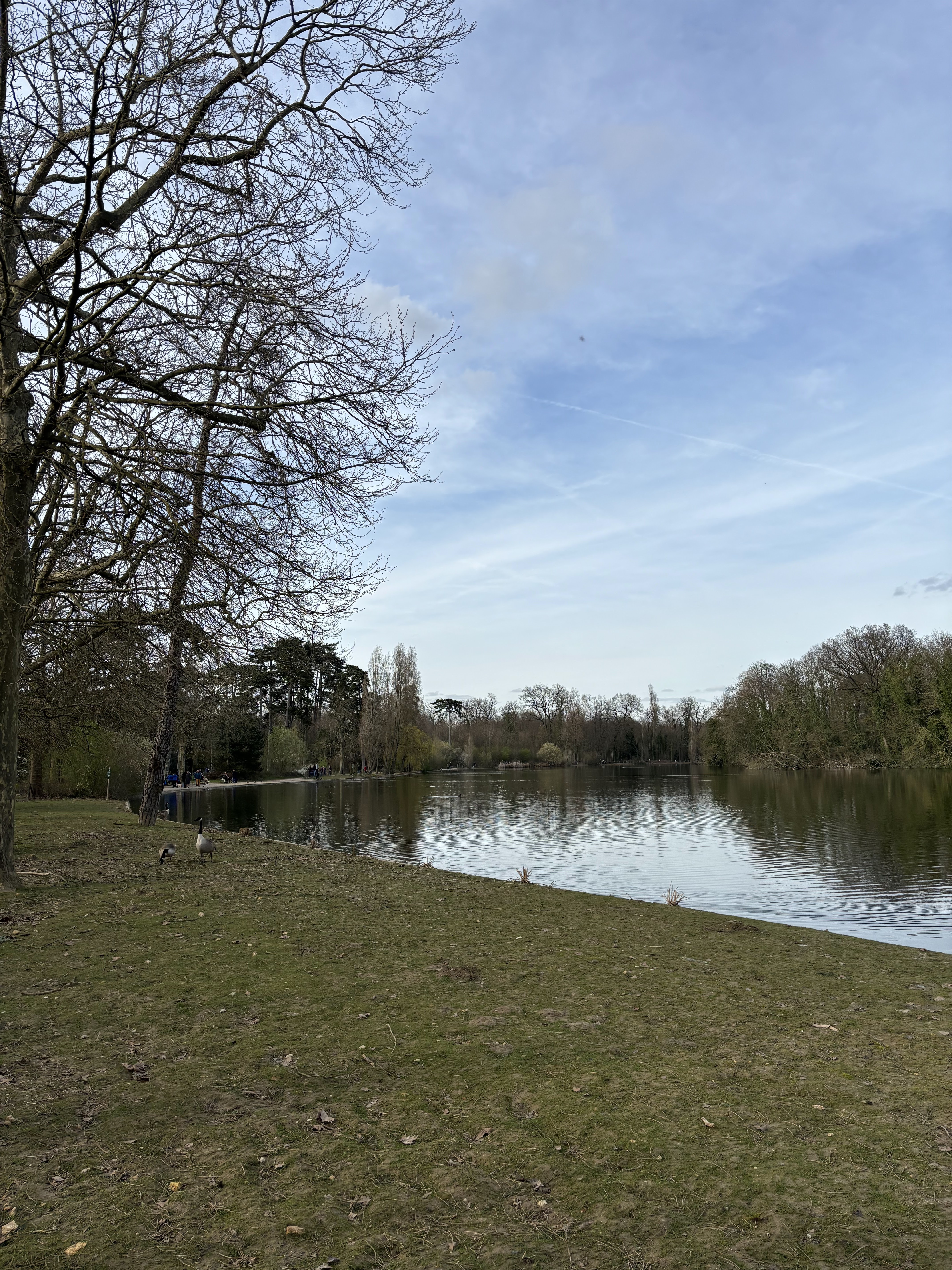 Photo n° 2 de l'avis de Camille.O fait le 23/03/2024 à 22:08