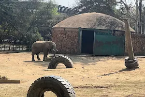 Elephant Enclosure - Johannesburg Zoo image