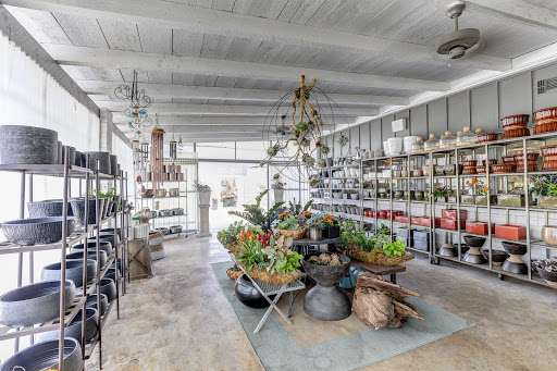 Florist «Dr Delphinium Flower & Orchid House», reviews and photos, 513 W Campbell Rd, Richardson, TX 75080, USA