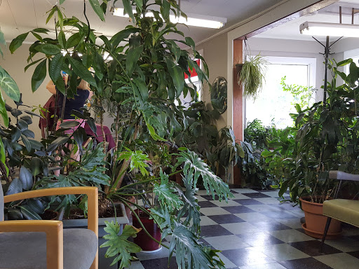 Barber Shop «Family Barber Shop», reviews and photos, 107 28th Ave N, Nashville, TN 37203, USA