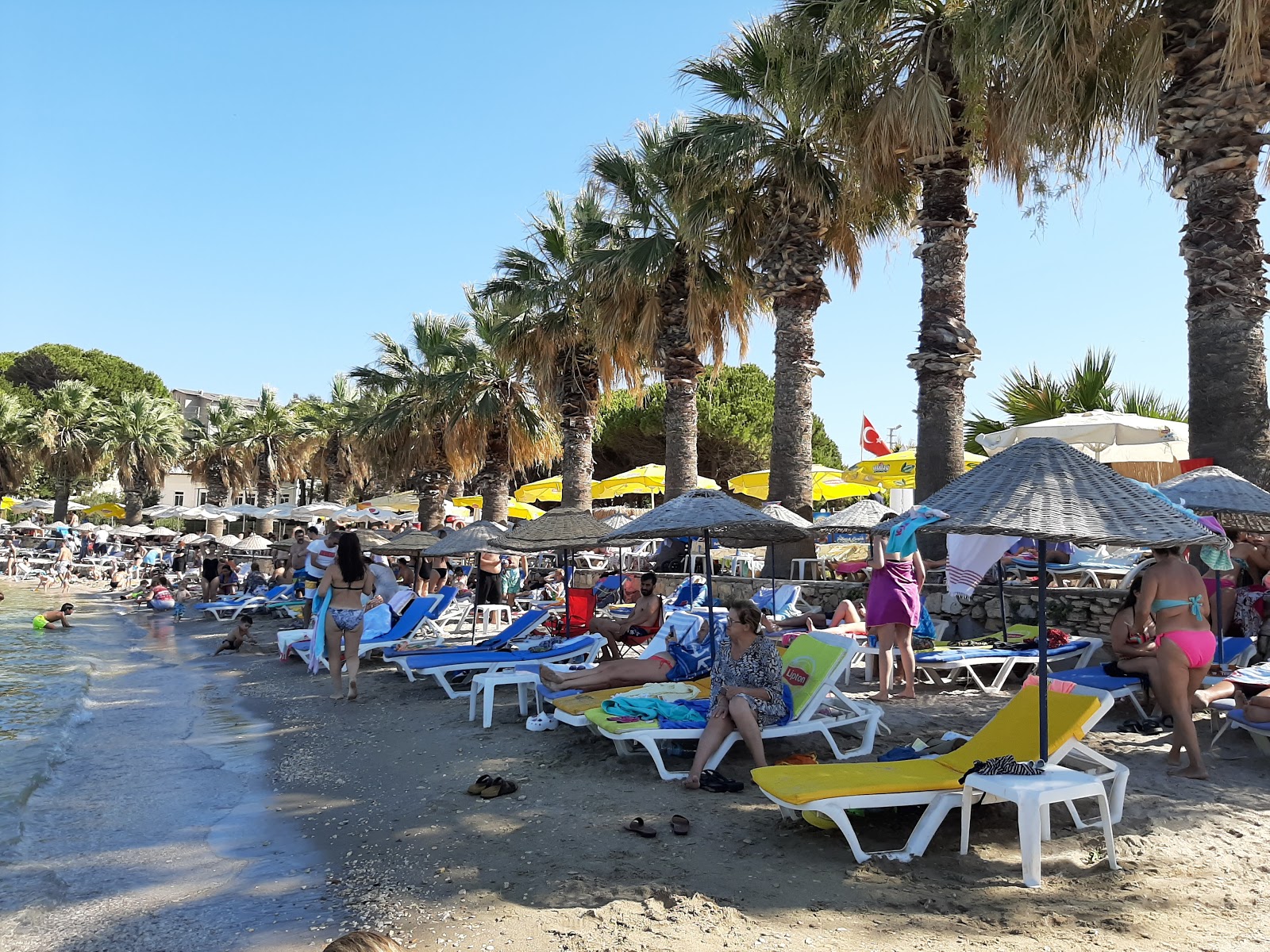 Palmiye beach photo #8