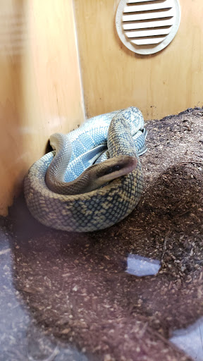 Pet Store «Fin-N-Feather», reviews and photos, 2931 F St, Eureka, CA 95501, USA