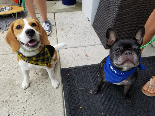 Pet Store «Wholesome Hound», reviews and photos, 198 Tamiami Trail N, Naples, FL 34102, USA