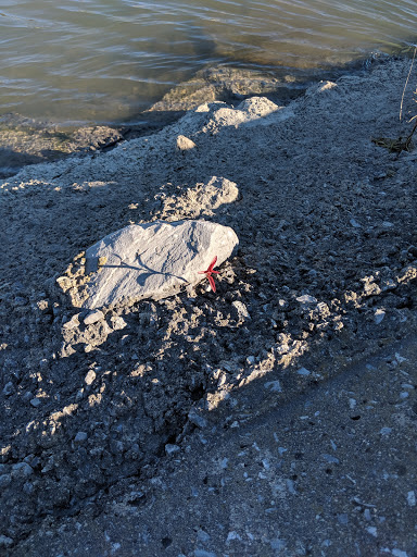 Park «Broderick Park», reviews and photos, 1170 Niagara St, Buffalo, NY 14213, USA