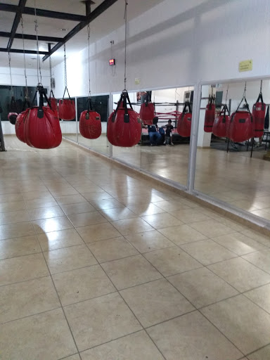 Sport boxing