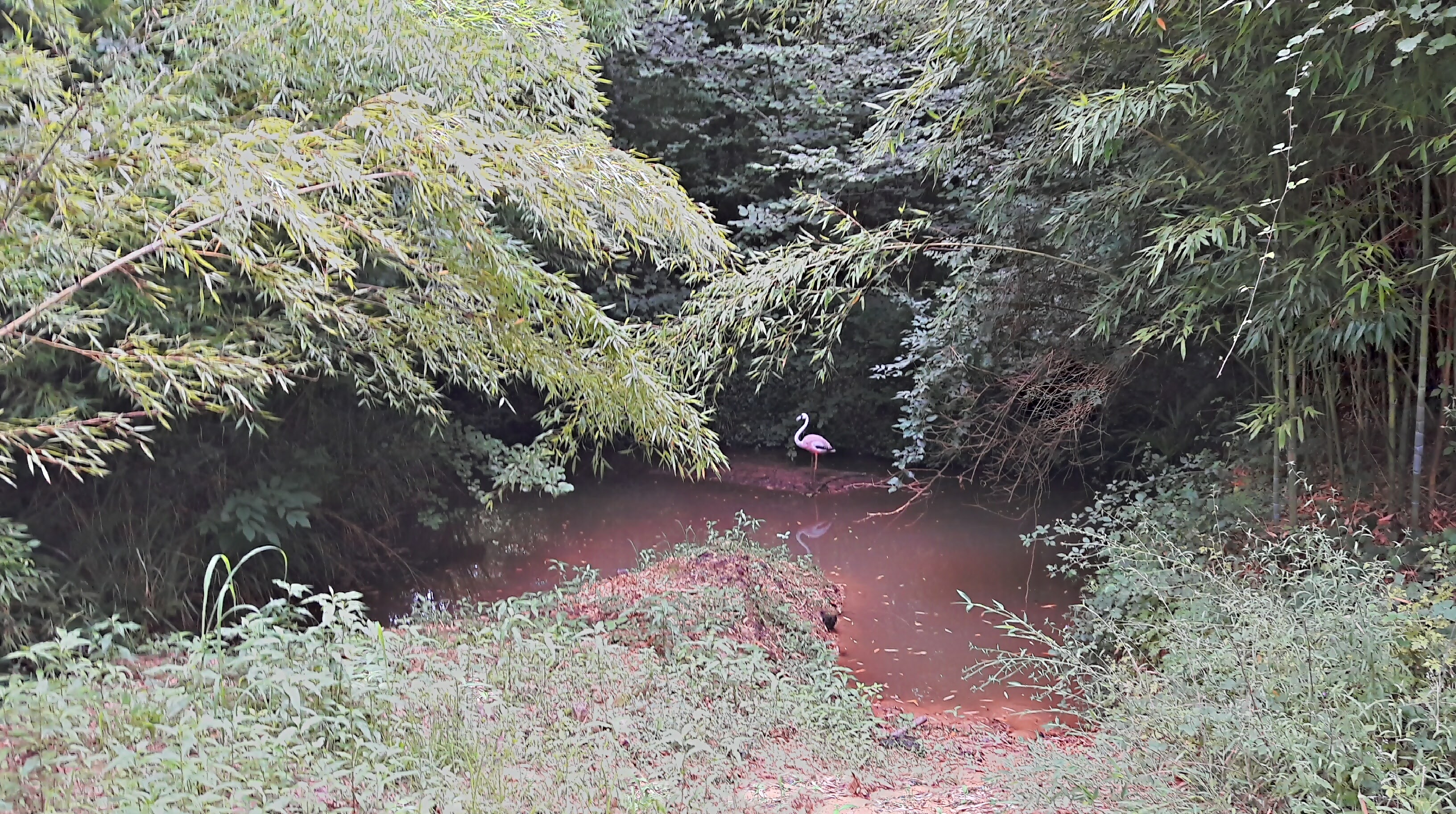 Photo n° 7 de l'avis de Xoria.r fait le 23/07/2017 à 17:51