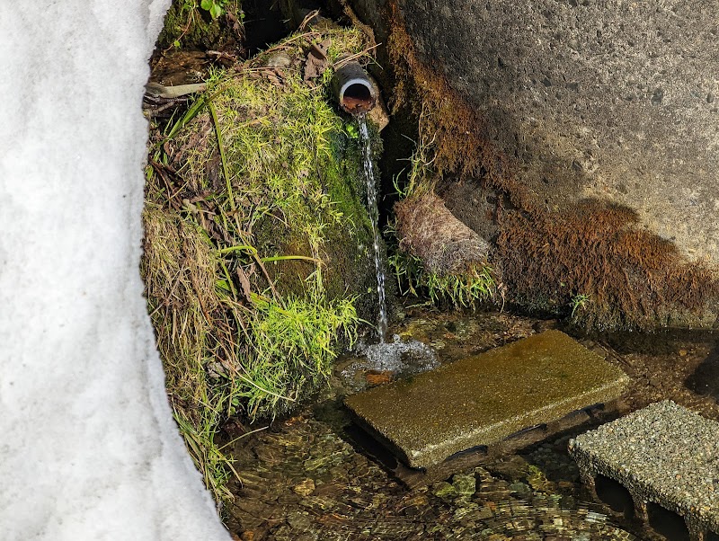 月山沢の湧水