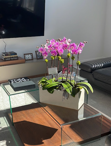 Orchid Grower «Orchid Dynasty», reviews and photos, 959 900 S, Salt Lake City, UT 84105, USA