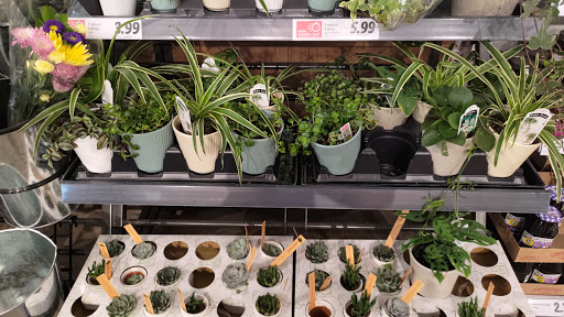 Supermarket «Best Market Massapequa», reviews and photos, 5601 Merrick Rd, Massapequa, NY 11758, USA