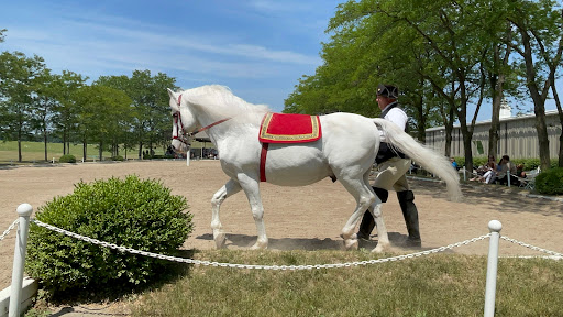 Tourist Attraction «The Tempel Lipizzans», reviews and photos, 17000 W Wadsworth Rd, Old Mill Creek, IL 60083, USA