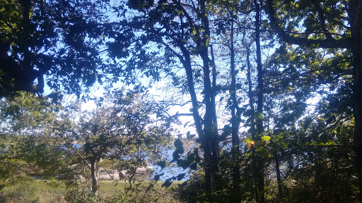 Nature Preserve «Norman Bird Sanctuary», reviews and photos, 583 3rd Beach Rd, Middletown, RI 02842, USA