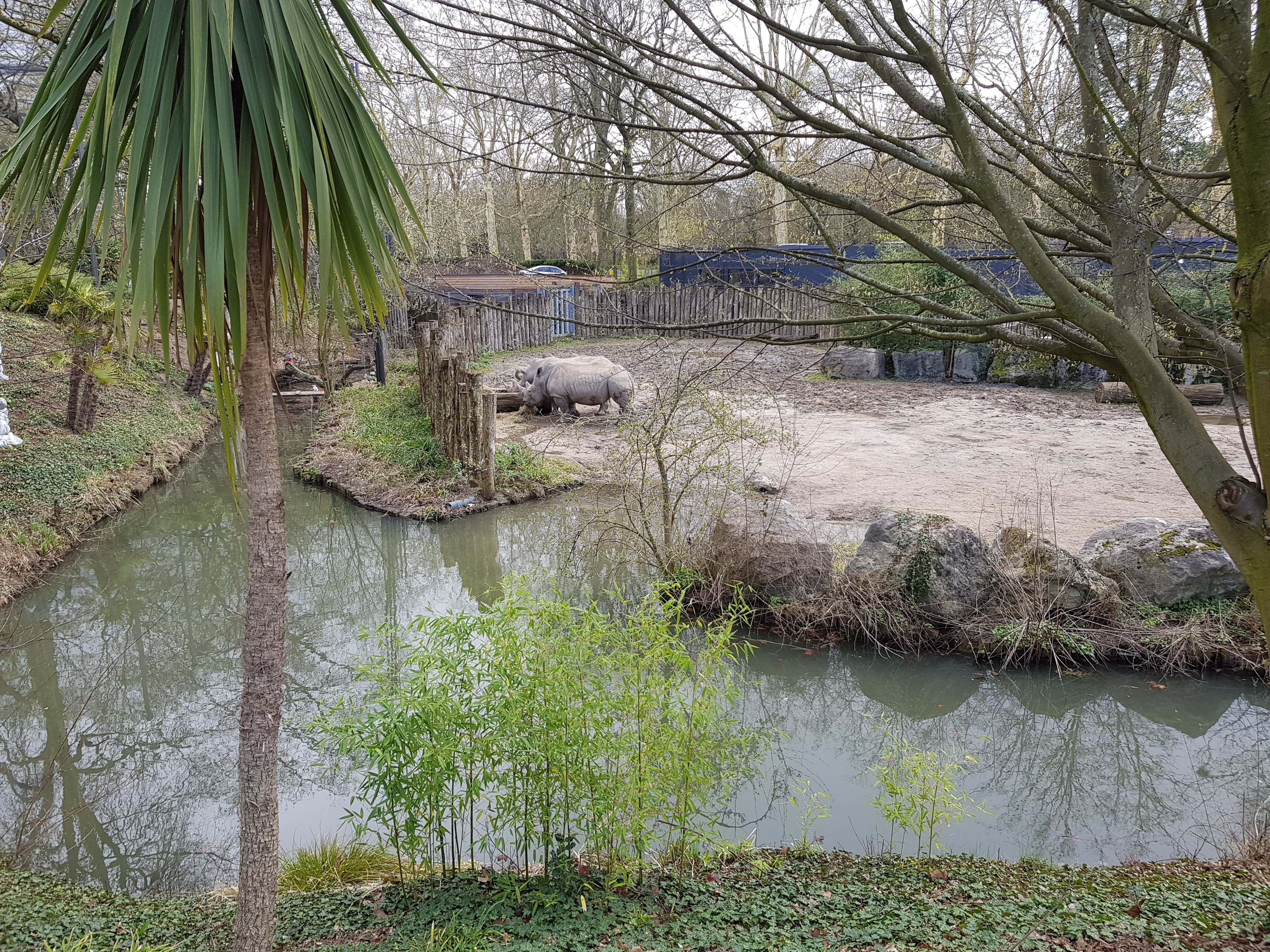 Photo n° 6 de l'avis de Charbel.l fait le 17/03/2019 à 23:45