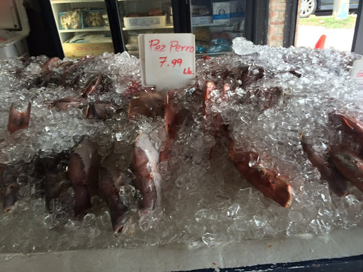 Seafood Restaurant «Don Camaron Seafood Grill», reviews and photos, 501 NW 37th Ave, Miami, FL 33125, USA