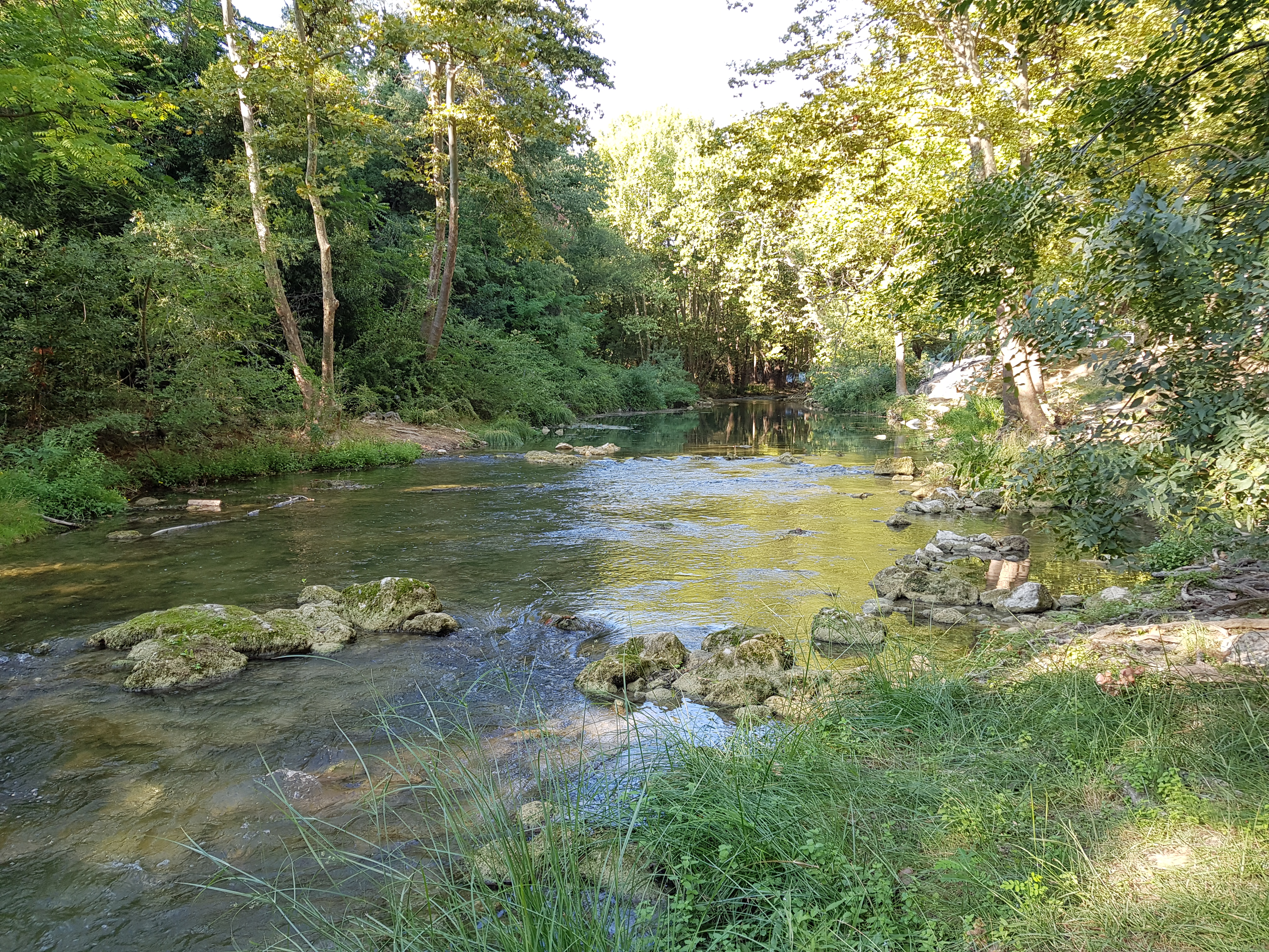 Photo n° 5 de l'avis de Jean-Luc.. fait le 25/08/2019 à 17:23