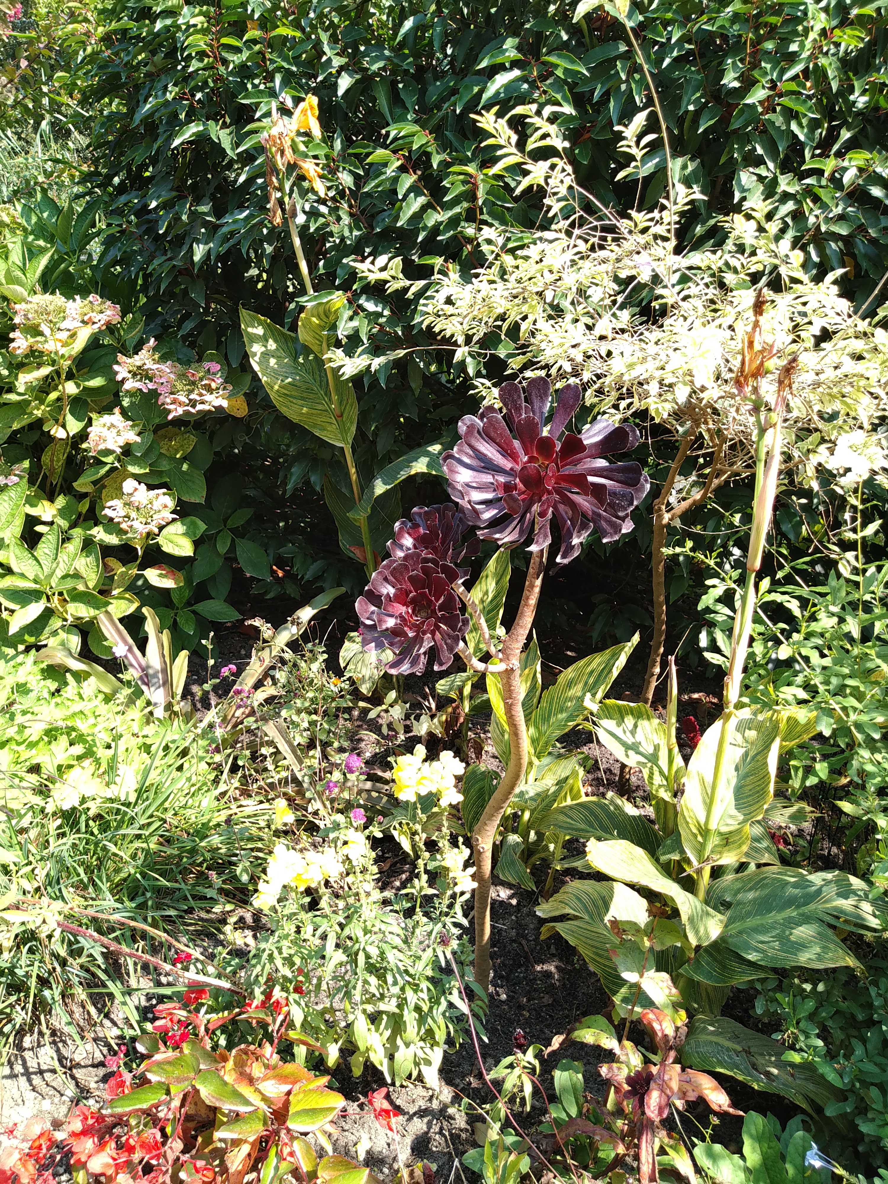 Photo n° 2 de l'avis de Fiona.. fait le 21/08/2021 à 14:46
