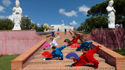 Escola Xiao Long Tai Chi