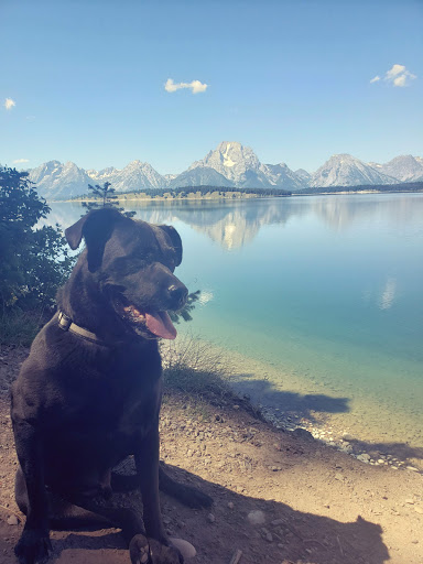 Grand County Animal Control