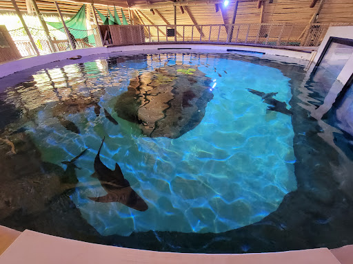 Aquarium «Florida Keys Aquarium Encounters», reviews and photos, 11710 Overseas Hwy, Marathon, FL 33050, USA