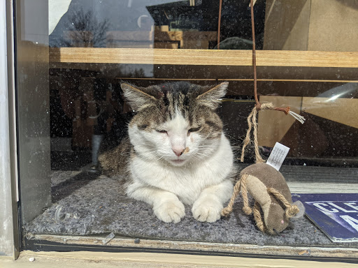 Hardware Store «Lakewood Hardware», reviews and photos, 16608 Madison Ave, Cleveland, OH 44107, USA